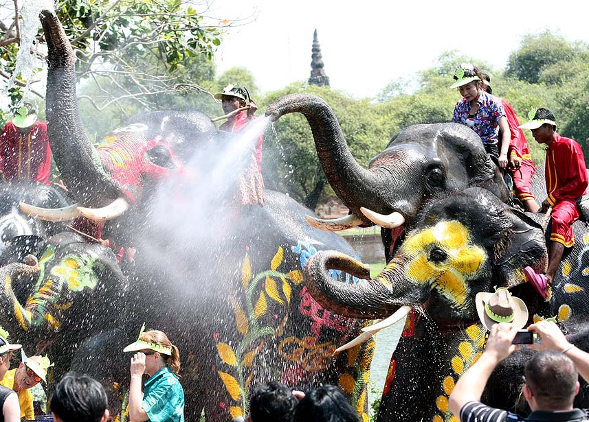 Elephant songkran in Ayutthaya